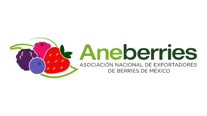 logo-aneberries
